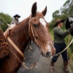 Tala se prepara para una nueva Noche de Doma y Folklore con fuerte presencia internacional