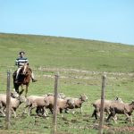  La ARU advierte que la competitividad del agro está en una situación crítica