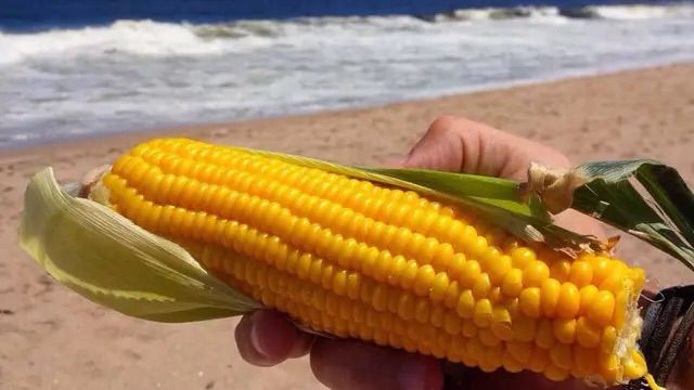 ¿Qué comemos hoy?: La UAM recomienda el consumo de choclo, sandia y cebolla
