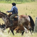 Medidas del BROU para productores afectados por el déficit hídrico