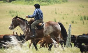 Mercados, situación del dólar, agricultura y más: el Valor Agregado de este lunes