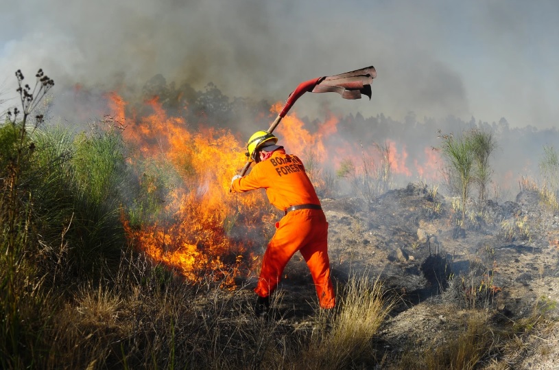 Refuerzan operativo forestal por riesgo muy alto de incendios en casi todo el país 