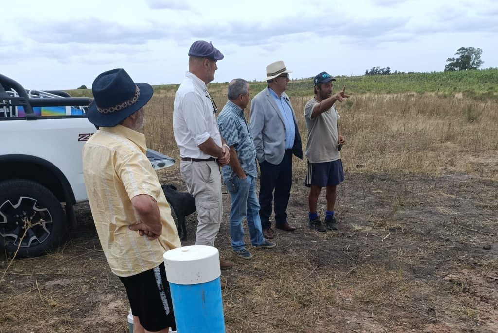 El alcance de la batería de medidas del gobierno para los productores