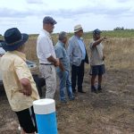 El alcance de la batería de medidas del gobierno para los productores