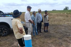 El alcance de la batería de medidas del gobierno para los productores