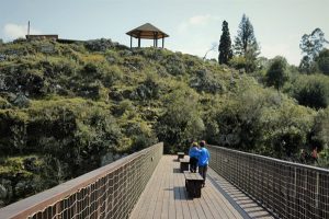 Entre sierras, arroyos y pueblos con historia, Lavalleja vive un verano de alta demanda