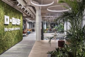 Los Servicios Globales y el caso BASF