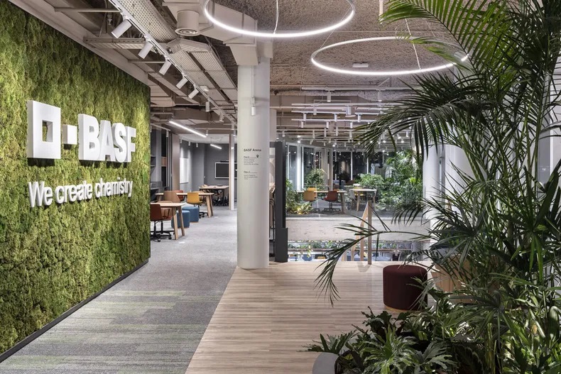 Los Servicios Globales y el caso BASF