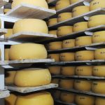 Acuerdo Mercosur-UE: Queseros artesanales advierten mayor competencia, pérdida de nombres tradicionales y un futuro incierto