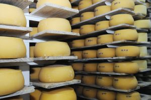 Acuerdo Mercosur-UE: Queseros artesanales advierten mayor competencia, pérdida de nombres tradicionales y un futuro incierto