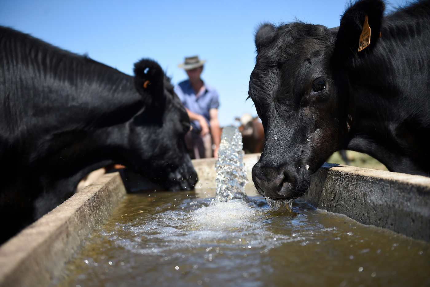Pronóstico del tiempo de José María Rodríguez