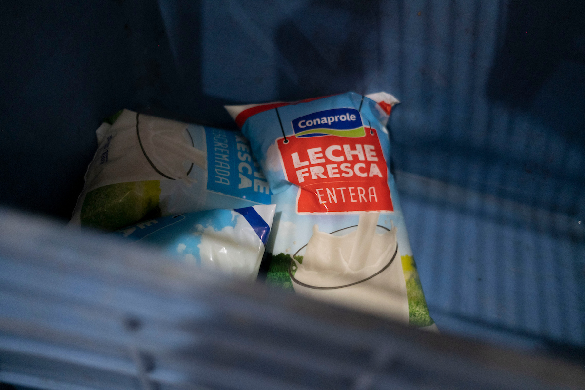 Productores lecheros por paro en Conaprole: “Hay 30 productos faltantes y pérdidas cuantiosas”