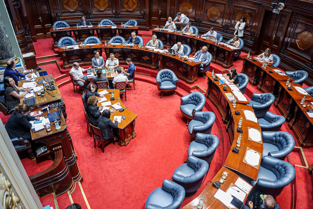 Caso Cardama llega al Parlamento: instalan investigadora en Senado y evalúan comisión en Diputados