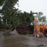 Temporal con vientos de 111 km/h en Paysandú: 25 familias afectadas y destrozos en Porvenir