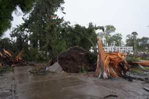 Temporal con vientos de 111 km/h en Paysandú: 25 familias afectadas y destrozos en Porvenir