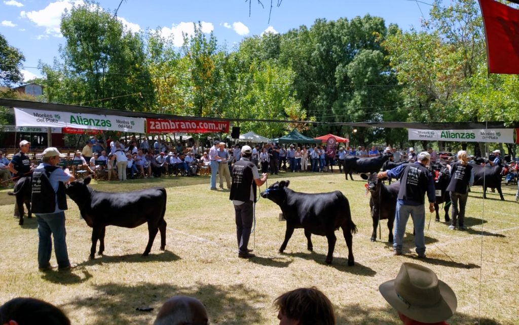 Expo Durazno 2026 reúne al campo en su 112ª edición en Santa Bernardina