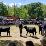 Expo Durazno 2026 reúne al campo en su 112ª edición en Santa Bernardina
