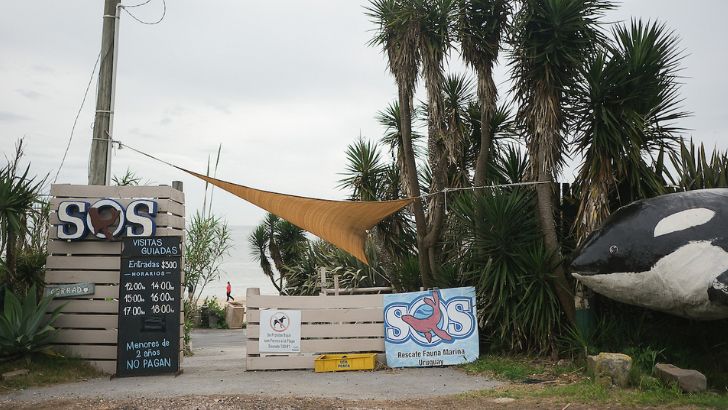 Fiscalía archivó denuncia contra periodista interrogado por la Policía: «Lo grave no es la denuncia, es el procedimiento policial»