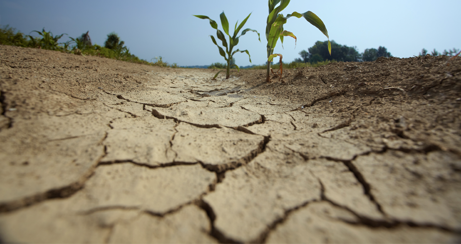 Lluvias desparejas y emergencia por sequía