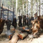 El Festival del Rotary de Lascano vuelve a reunir música y naturaleza en la Represa India Muerta este fin de semana