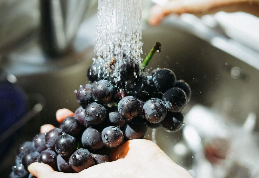 ¿Qué comemos hoy?: La UAM recomienda el consumo de uva, melón, choclo, calabacín, ajo y pera