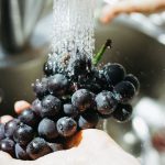 ¿Qué comemos hoy?: La UAM recomienda el consumo de uva, melón, choclo, calabacín, ajo y pera