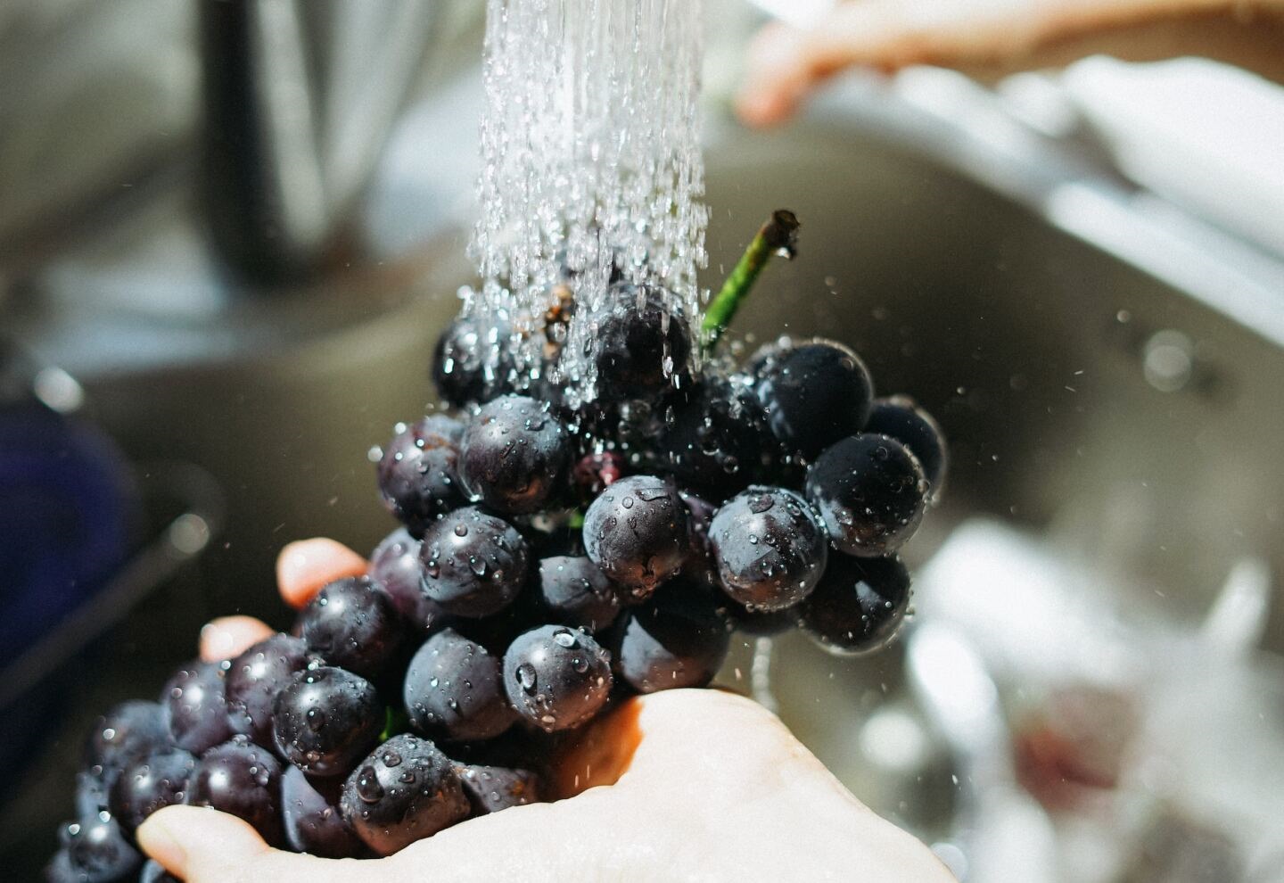 ¿Qué comemos hoy?: La UAM recomienda el consumo de uva, melón, choclo, calabacín, ajo y pera