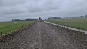 Lluvias mejoran situación en algunas zonas