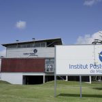 Científicos del Instituto Pasteur realizan ensayos de fármaco para tratamiento de la obesidad