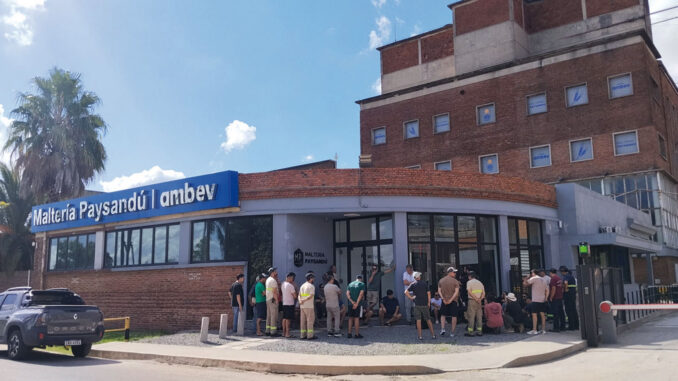 Ambev detiene la producción en su maltería de Paysandú y enviará al seguro de paro a unos 90 trabajadores