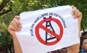 Ambientalistas alertan por impacto de prospección sísmica en fauna marina y apelan fallo que lo habilita