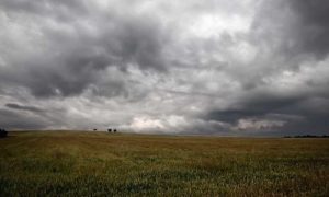 Expectativas por lluvias en el sur