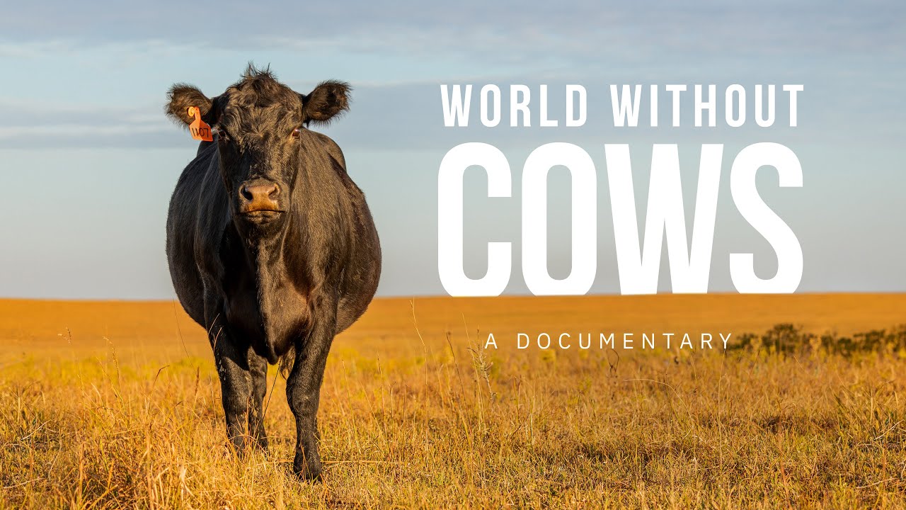¿Es viable un mundo sin vacas? El documental que sacude al agro y al debate ambiental