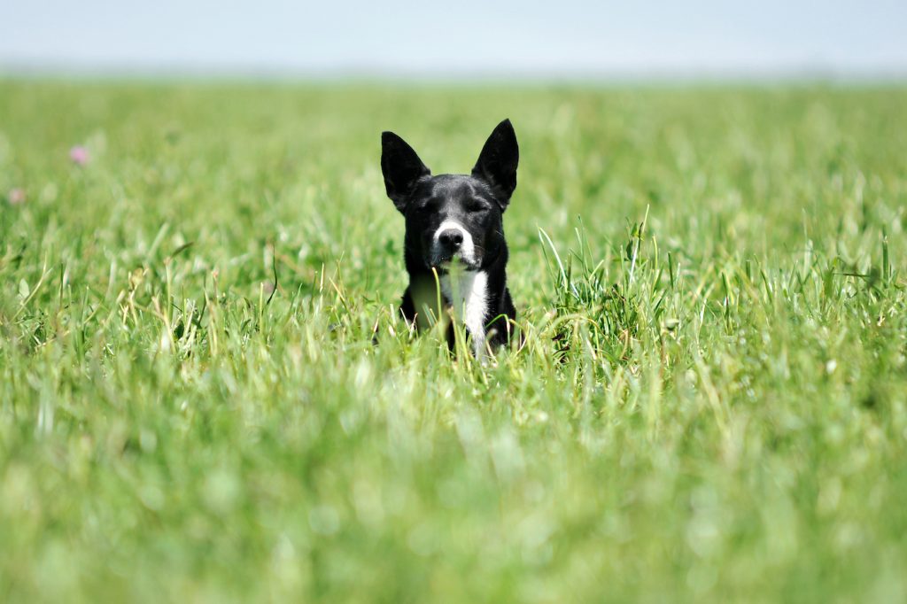 Pronóstico del tiempo de José María Rodríguez