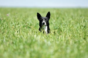 Pronóstico del tiempo de José María Rodríguez