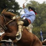 Vieta sobre jineteadas: «hay extremos en los dos lados»