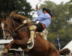 Vieta sobre jineteadas: «hay extremos en los dos lados»