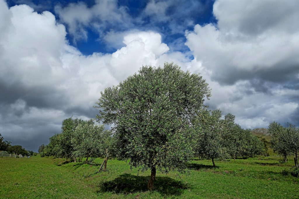 Pronóstico del tiempo de José María Rodríguez