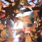 Pronóstico del tiempo de José María Rodríguez