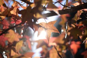 Pronóstico del tiempo de José María Rodríguez