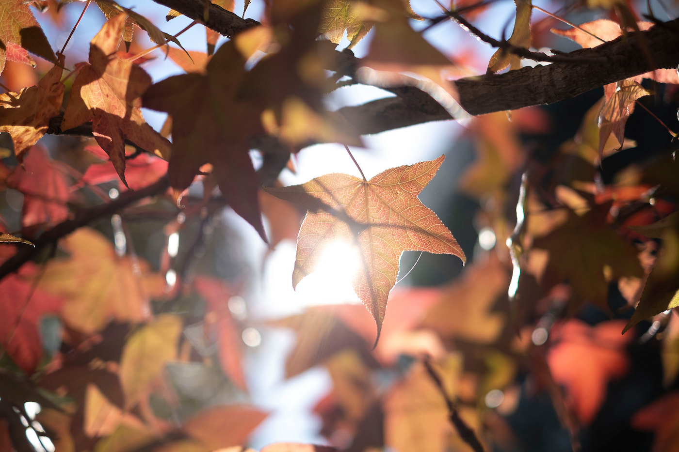 Pronóstico del tiempo de José María Rodríguez