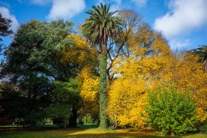 Pronóstico del tiempo de José María Rodríguez