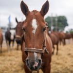 Pronóstico del tiempo de José María Rodríguez