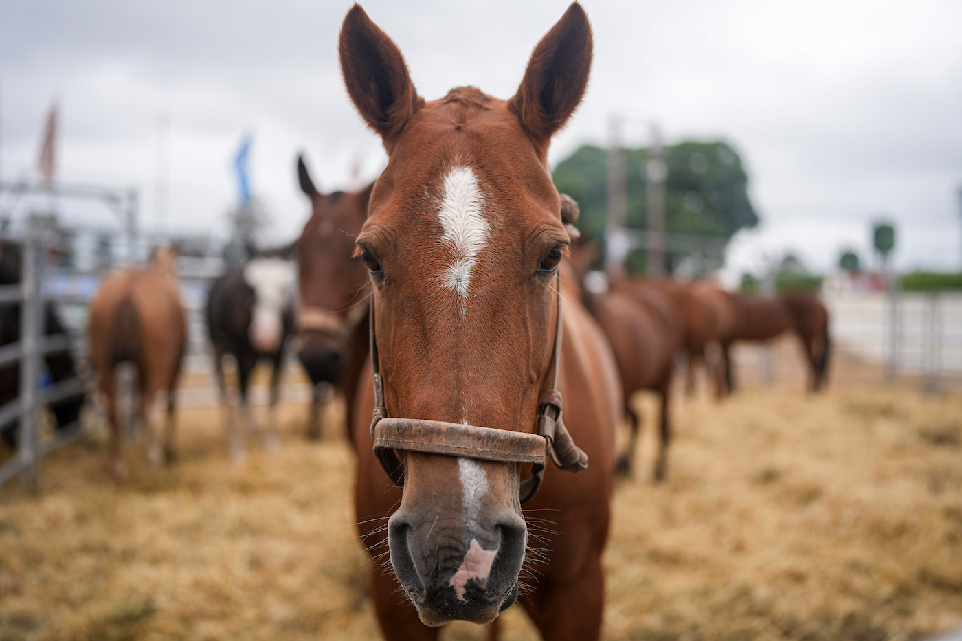 Pronóstico del tiempo de José María Rodríguez