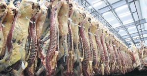 La guerra en Medio Oriente puede impulsar una nueva suba en el precio de la carne