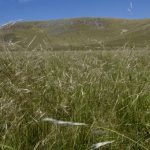 Se comienza a aplicar el SIGA agropecuario ante la sequía