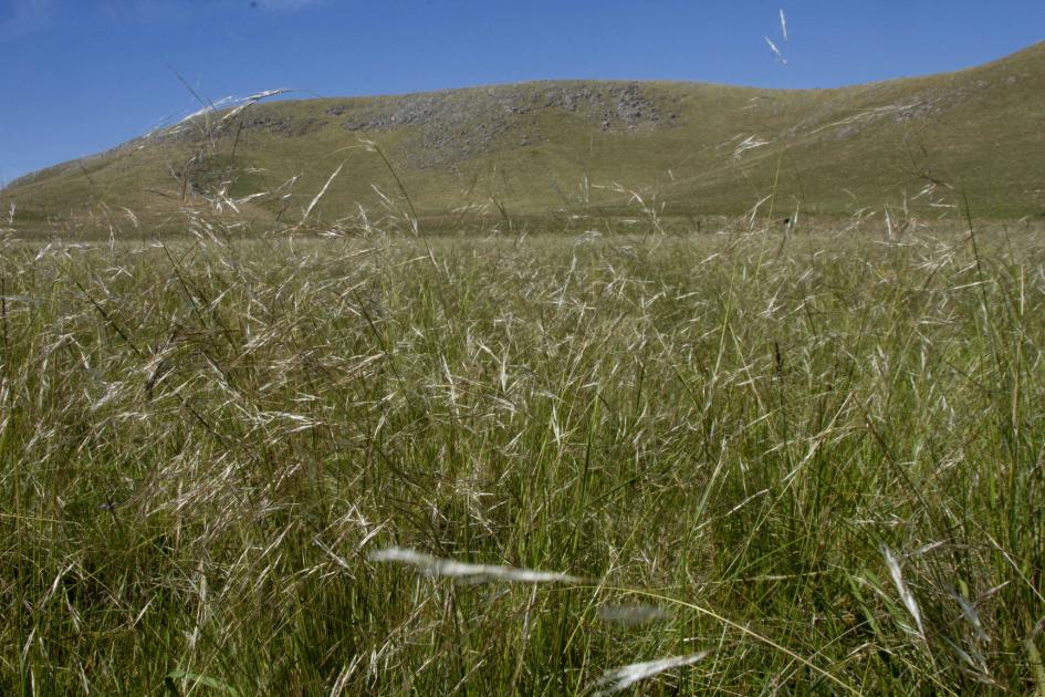 Se comienza a aplicar el SIGA agropecuario ante la sequía