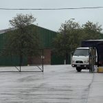 Cierre abrupto de tabacalera en Florida: Trabajadores con pagos atrasados y sin amparo