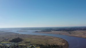Garrapata, ganadería, conflicto bélico y más en el Valor Agregado de este martes