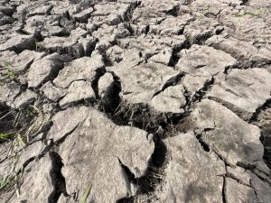 Se agrava la sequía en el sur